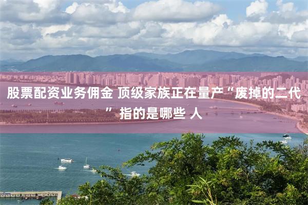 股票配资业务佣金 顶级家族正在量产“废掉的二代” 指的是哪些 人
