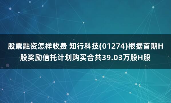 股票融资怎样收费 知行科技(01274)根据首期H股奖励信托计划购买合共39.03万股H股