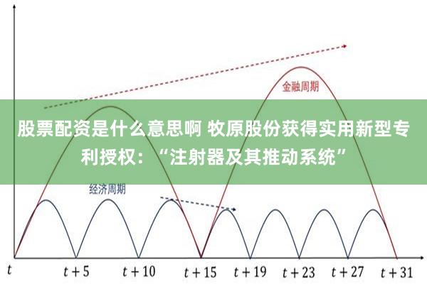 股票配资是什么意思啊 牧原股份获得实用新型专利授权：“注射器及其推动系统”