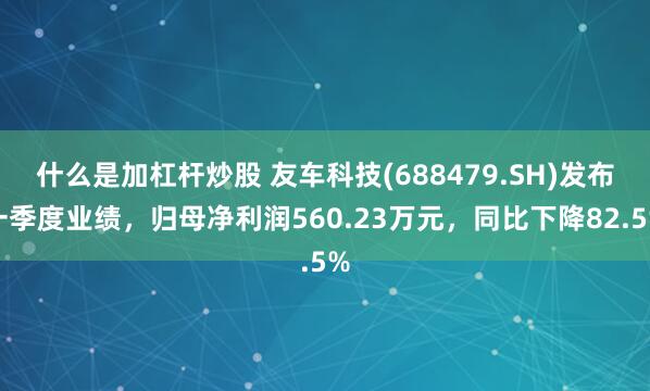 什么是加杠杆炒股 友车科技(688479.SH)发布一季度业绩，归母净利润560.23万元，同比下降82.5%