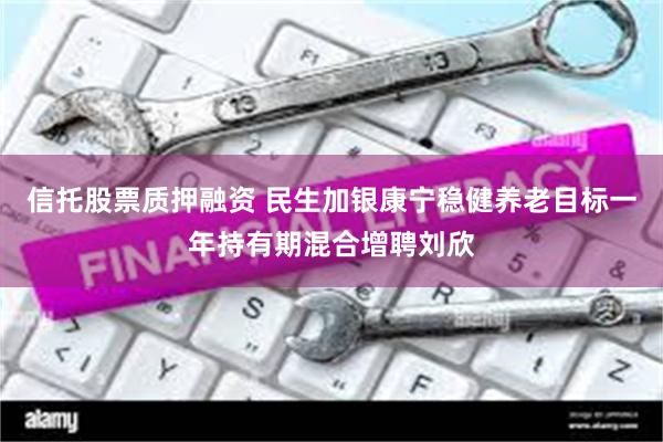 信托股票质押融资 民生加银康宁稳健养老目标一年持有期混合增聘刘欣