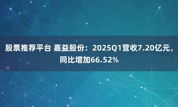 股票推荐平台 嘉益股份：2025Q1营收7.20亿元，同比增加66.52%