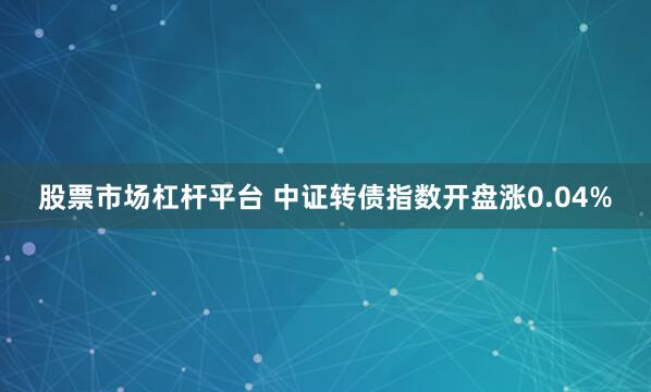 股票市场杠杆平台 中证转债指数开盘涨0.04%