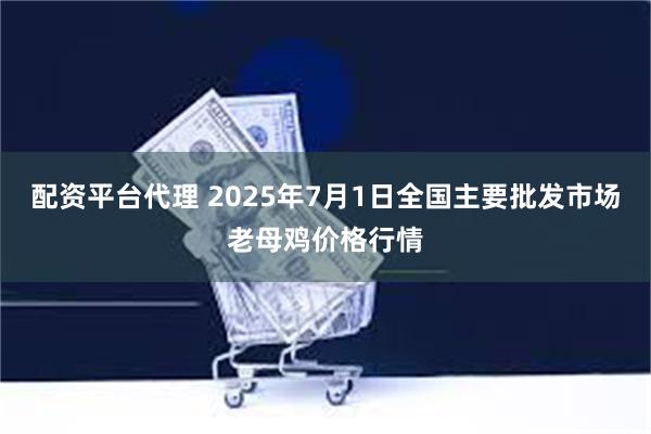 配资平台代理 2025年7月1日全国主要批发市场老母鸡价格行情