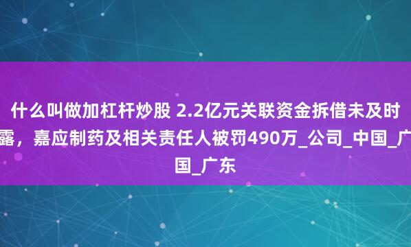 什么叫做加杠杆炒股 2.2亿元关联资金拆借未及时披露，嘉应制药及相关责任人被罚490万_公司_中国_广东