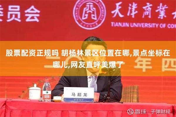 股票配资正规吗 胡杨林景区位置在哪,景点坐标在哪儿,网友直呼美爆了
